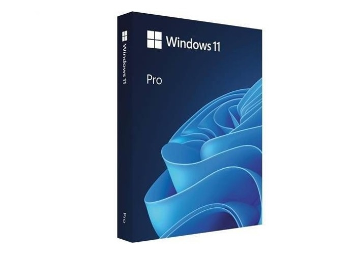 DirectX 12 Microsoft Windows 11 Professional 64Bit USB Sürücü SKU-HAV-00029