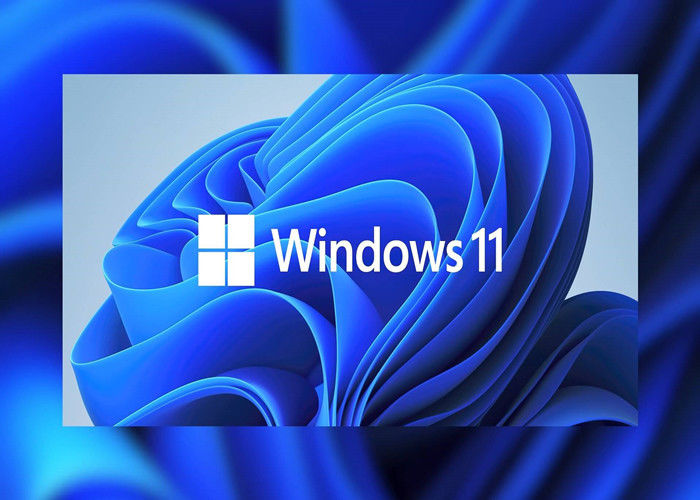 UEFI OEM DVD Windows Lisans Anahtarı Tam Paket TPM 2.0 Microsoft Windows 11 Pro
