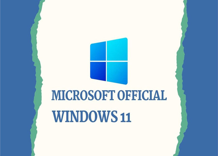 Fransızca Sürüm TPM Microsoft Windows 11 Home Perakende Tam Kutu WIP UEFI